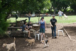 dog park in austin, texas