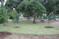 dog park in austin, texas
